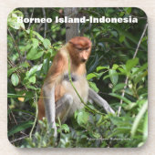Proboscis Monkey Borneo Getränkeuntersetzer (Vorderseite)