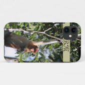Proboscis Monkey, Borneo Regenwald Case-Mate iPhone Hülle (Rückseite (Horizontal))