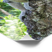 Proboscis Monkey Fotodruck (Ecke)