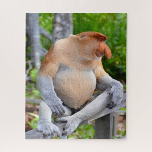 Proboscis Monkey. Jigsaw Puzzle (Vertikal)