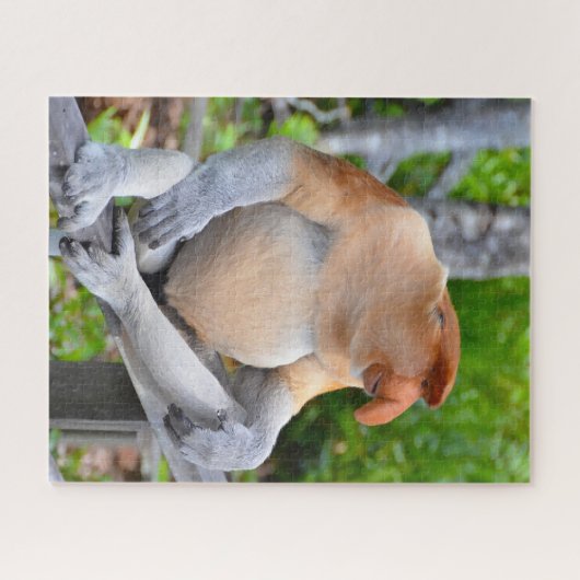 Proboscis Monkey. Jigsaw Puzzle (Horizontal)