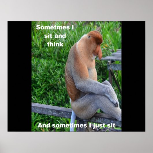 Proboscis Monkey - Manchmal sitze ich und denke Poster (Vorne)