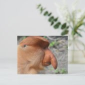 Proboscis Monkey Postkarte (Stehend Vorderseite)