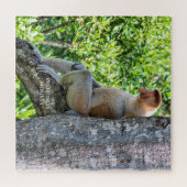 Proboscis Monkey Puzzle (Horizontal)