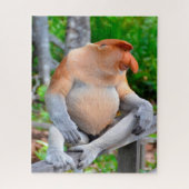 Proboscis Monkey. Puzzle (Vertikal)