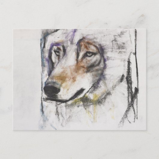 Processo Al Lupo Postkarte (Vorderseite)