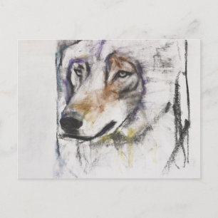 Processo Al Lupo Postkarte