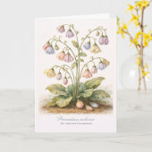 Procrastina indecisa Der unentschlossene Zauderer Karte (Gelbe Blume)