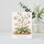 Procrastina indecisa Der unentschlossene Zauderer Postkarte (Stehend Vorderseite)