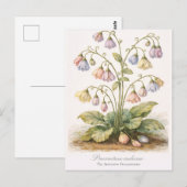 Procrastina indecisa Der unentschlossene Zauderer Postkarte (Vorne/Hinten)