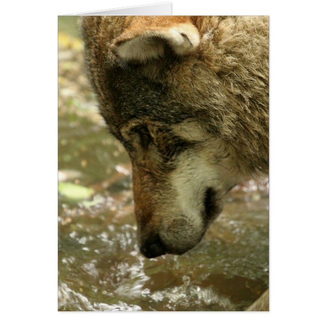 Produkt anpassen (Vorne)