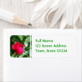 Produkt anpassen (Insitu)