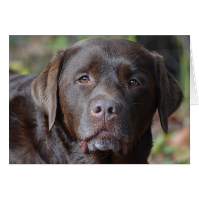 Produkt anpassen (Vorderseite (Horizontal))