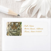 Produkt anpassen (Insitu)