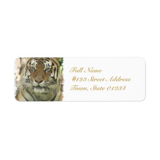 Produkt anpassen (Vorne)