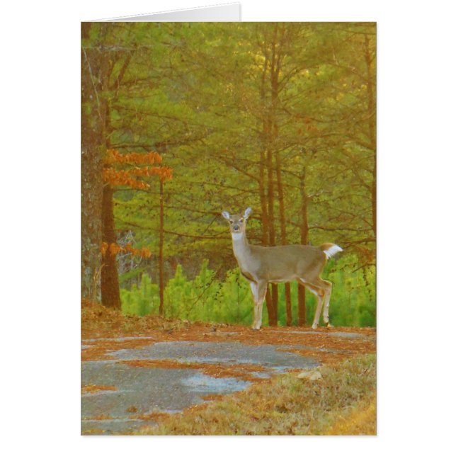 Produkt anpassen (Vorne)