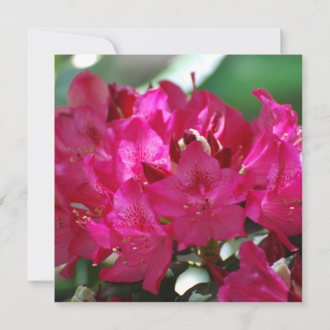 Produkt anpassen (Vorderseite)