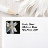 Produkt anpassen (Insitu)