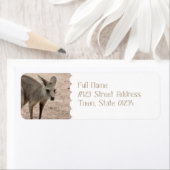 Produkt anpassen (Insitu)