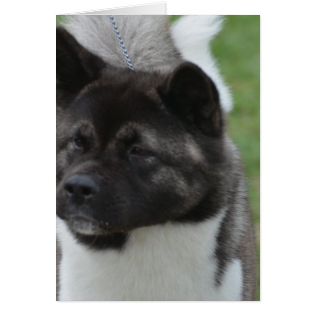 Produkt anpassen (Vorne)