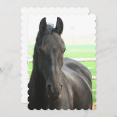 Produkt anpassen einladung (Vorne/Hinten)