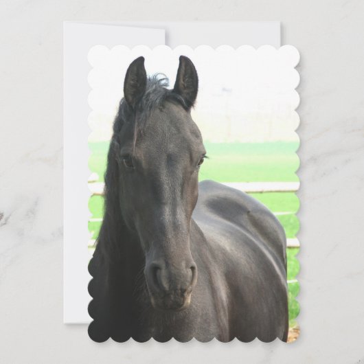 Produkt anpassen einladung (Vorderseite)