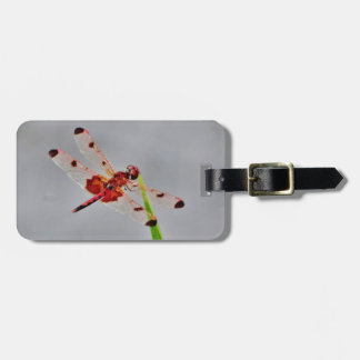 Produkt anpassen gepäckanhänger