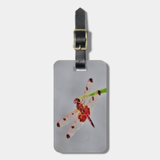 Produkt anpassen gepäckanhänger (Vorderseite vertikal)