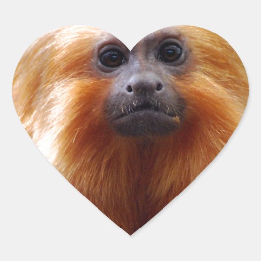 Produkt anpassen Herz-Aufkleber (Vorderseite)