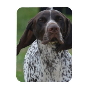 Produkt anpassen magnet