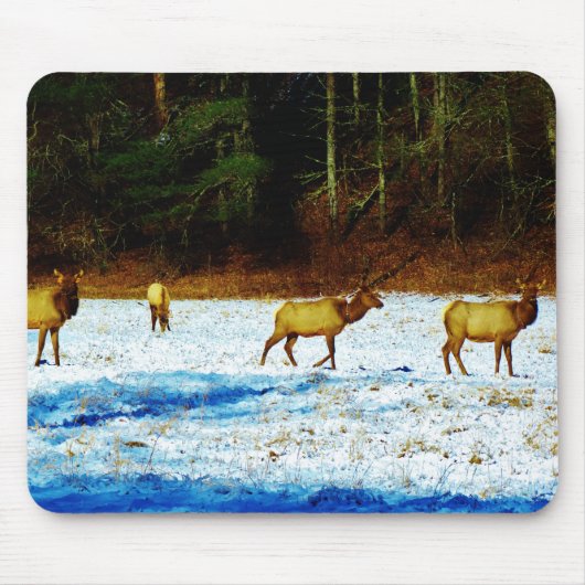 Produkt anpassen mousepad (Vorne)