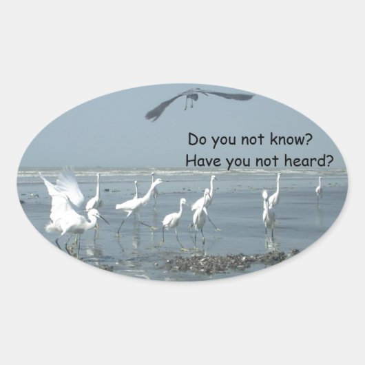 Produkt anpassen ovaler aufkleber (Vorderseite)