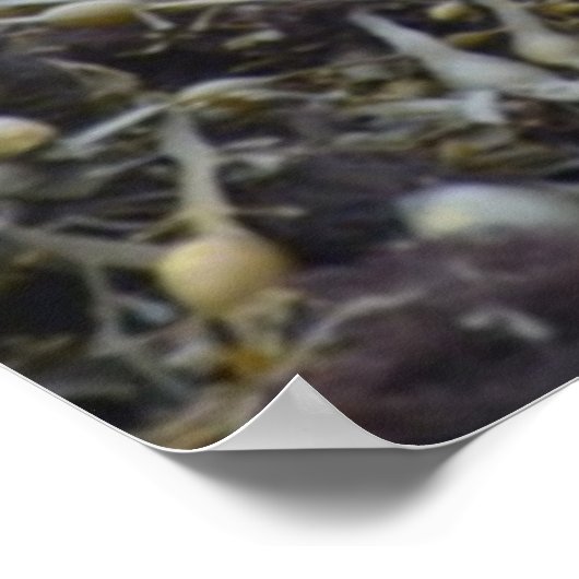 Produkt anpassen poster (Ecke)