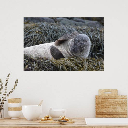 Produkt anpassen poster (Küche)