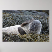 Produkt anpassen poster (Vorne)