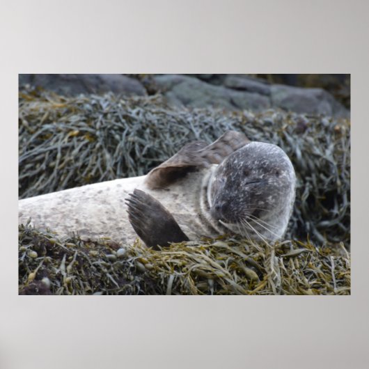 Produkt anpassen poster (Vorne)