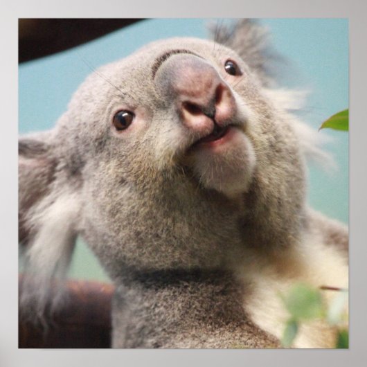 Produkt anpassen poster (Vorne)