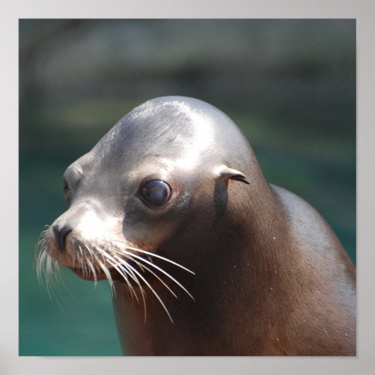 Produkt anpassen poster (Vorne)