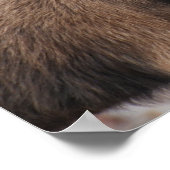 Produkt anpassen poster (Ecke)