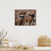 Produkt anpassen poster (Küche)