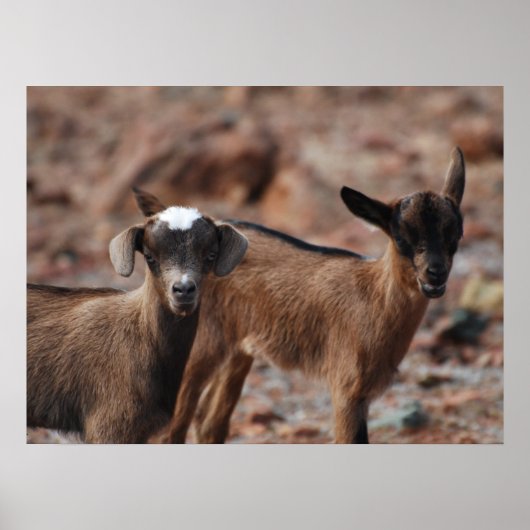 Produkt anpassen poster (Vorne)