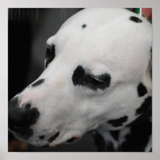 Produkt anpassen poster (Vorne)