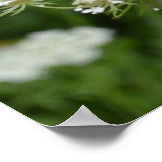 Produkt anpassen poster (Ecke)