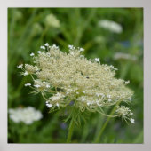 Produkt anpassen poster (Vorne)