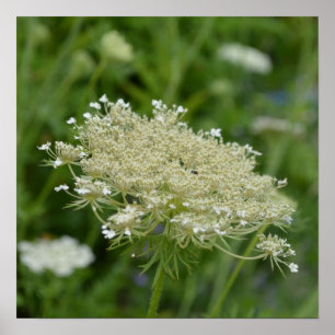 Produkt anpassen poster