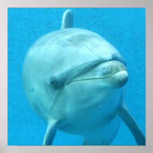 Produkt anpassen poster