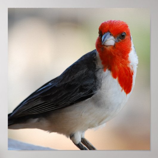 Produkt anpassen poster (Vorne)