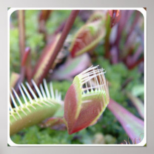 Produkt anpassen poster