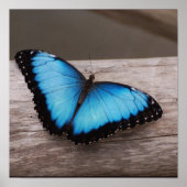 Produkt anpassen poster (Vorne)