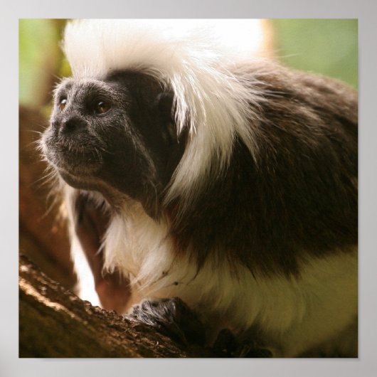 Produkt anpassen poster (Vorne)